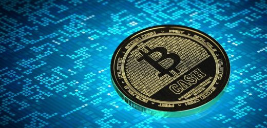 Why It Is Important To Check The BitcoinCash Price?