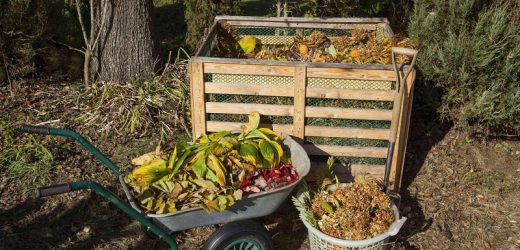 Benefits of Composting as a Form of Waste Disposal