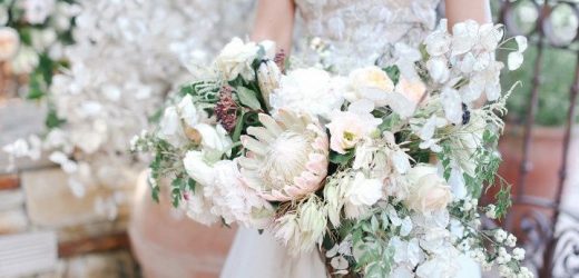All you need to know about the blush flowers