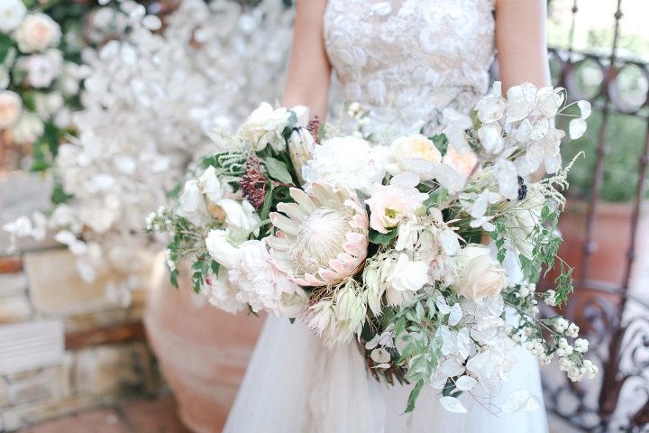 All you need to know about the blush flowers