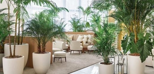 Cultivating Savings: Your Ultimate Guide to Wholesale Plant Pots