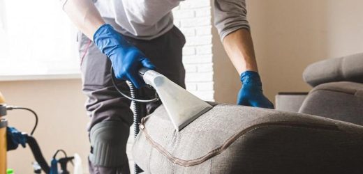 Revive Your Sofa’s Splendor: How Can Professional Repair Services Transform Your Tattered Sofa?