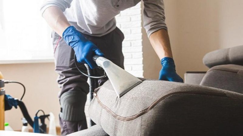 Revive Your Sofa's Splendor How Can Professional Repair Services Transform Your Tattered Sofa