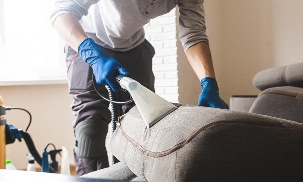 Revive Your Sofa’s Splendor: How Can Professional Repair Services Transform Your Tattered Sofa?