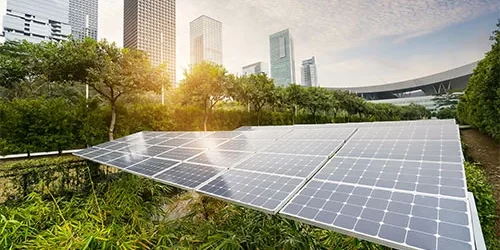 Guide On Job Opportunities Available In Scale Microgrid Solutions