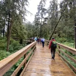 Exploring Ketchikan’s Rainforest and Totem Parks