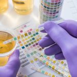 DOT Compliance Made Easy: SVT Requirements You Can’t Ignore