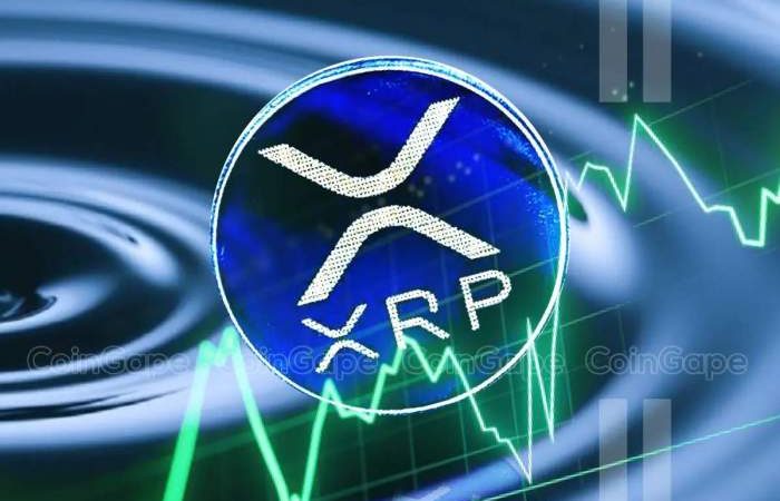 Market Insights and What XRP Price USD Shows